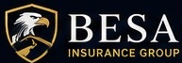 Besa Insurance Group